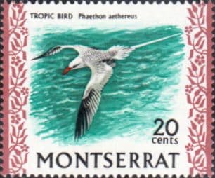 Montserrat 1970 Birds SG 249 Red-billed tropic Fine Mint