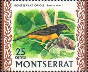 Montserrat 1970 Birds SG 250 Oriole Fine Mint