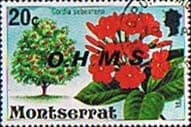Montserrat 1976 Official OHMS SG O10 Fine Used