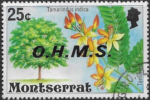 Montserrat 1976 Official OHMS SG O21 Fine Used