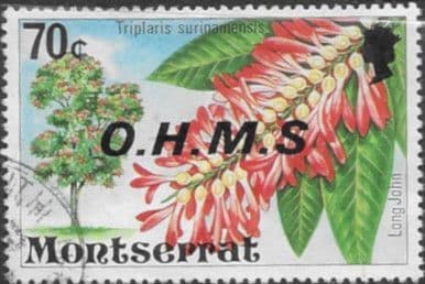 Montserrat 1976 Official OHMS SG O23 Fine Used