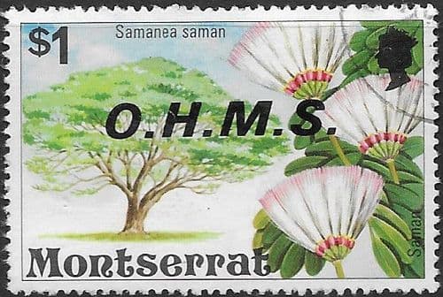 Montserrat 1976 Official OHMS SG O24 Fine Used