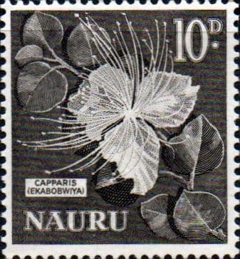 Nauru 1963 SG 61 Capparis Flower Fine Mint