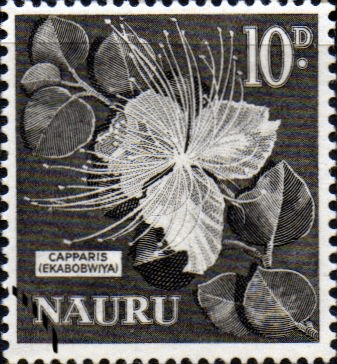 Nauru 1963 SG 61 Capparis Flower Fine Used