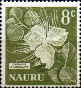 Nauru 1966 SG 72 Capparis Flower Fine Mint