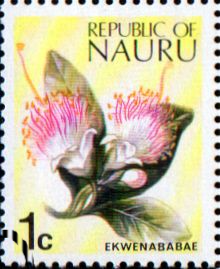 Nauru 1973 SG 99 Flower Ekwenababae Fine Used