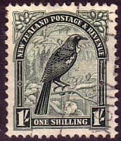 New Zealand 1936 SG 588 Tui Bird Fine Used