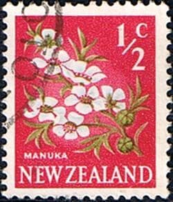 New Zealand 1967 SG 845 Flower Fine Used