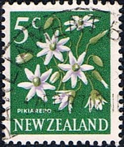 New Zealand 1967 SG 851 Flower Fine Used