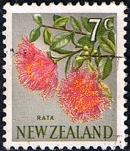 New Zealand 1967 SG 853 Flower Fine Used