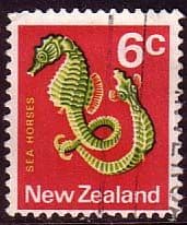 New Zealand 1970 SG 921 Sea Horse Fish Fine Used