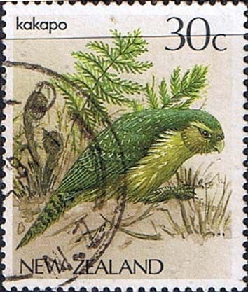 New Zealand 1982 Birds SG 1288 Fine Used
