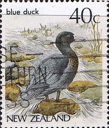 New Zealand 1982 Birds SG 1289 Fine Used