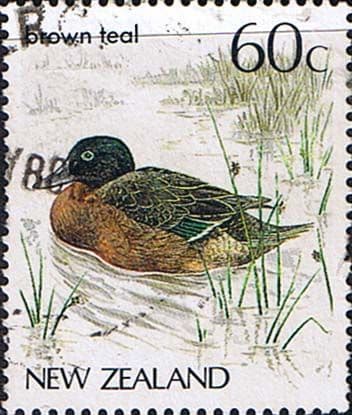 New Zealand 1982 Birds SG 1291 Fine Used