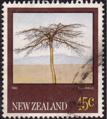 New Zealand 1983 Rita Angus Paintings SG 1315 Fine Used