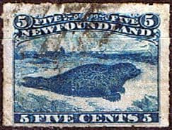 Newfoundland 1876 SG 43 Common Seal on Ice Flow Rouletted Good Used