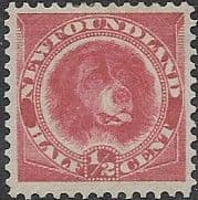 Newfoundland 1887 SG 44 Newfoundland Dog Fine Mint