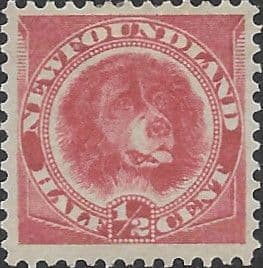 Newfoundland 1888 SG 49 Newfoundland Dog Fine Mint