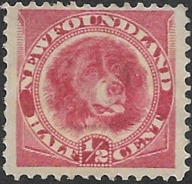 Newfoundland 1888 SG 49 Newfoundland Dog Fine Used