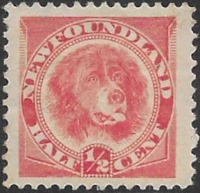Newfoundland 1894 Dog Discovery SG 62 Fine Mint