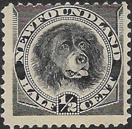 Newfoundland 1894 SG 59 Dog Fine Mint