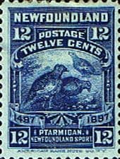 Newfoundland 1897 SG 74 Discovery Fine Mint