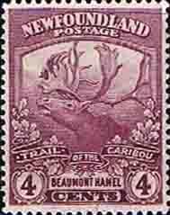 Newfoundland 1919 SG 133 Reindeer Fine Mint