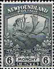 Newfoundland 1919 SG 135 Reindeer Fine Mint