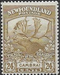 Newfoundland 1919 SG 140 Reindeer Fine Mint