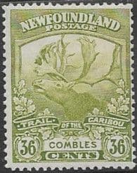 Newfoundland 1919 SG 141 Reindeer Fine Mint