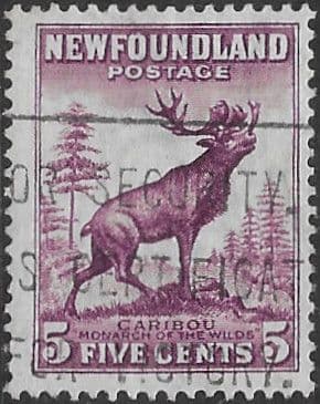 Newfoundland 1932 Reindeer SG 213 Fine Used
