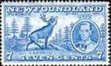 Newfoundland 1937 SG 259 King George VI Coronation Caribou Fine Mint