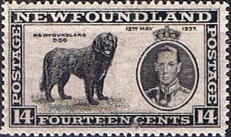Newfoundland 1937 SG 262 King George VI Coronation Newfoundland Dog Fine Mint