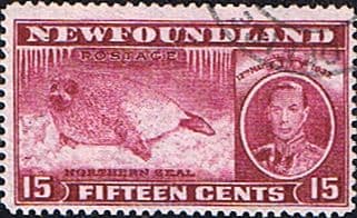 Newfoundland 1937 SG 263 King George VI Coronation Northern Seal Fine Used