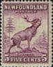 Newfoundland 1941 SG 280a Reindeer Fine Mint