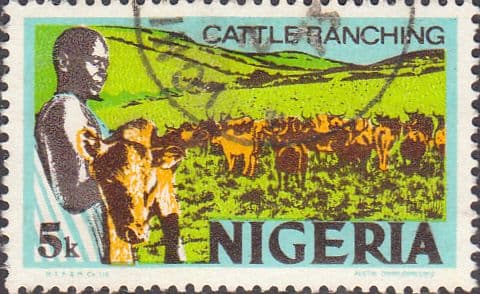 Nigeria 1973 SG 282a Cattle Ranching Fine Used