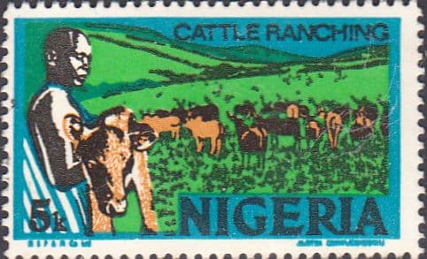 Nigeria 1975 SG 341 Cattle Ranching Fine Used