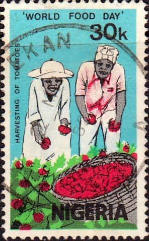 Nigeria 1981 SG 425 World Food Day Fine Used