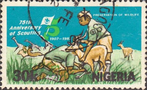 Nigeria 1982 SG 429 Boy Scout Movement Fine Used