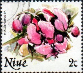 Niue 1981 Flowers SG 381 Fine Used