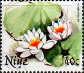 Niue 1981 Flowers SG 397 Fine Used