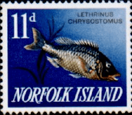 Norfolk Island 1962 Fishes SG 44 Fine Mint