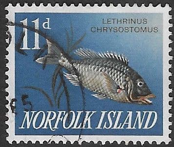 Norfolk Island 1962 Fishes SG 44 Fine Used