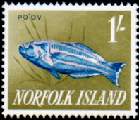 Norfolk Island 1962 Fishes SG 45 Fine Mint