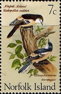 Norfolk Island 1970 Birds SG 108 Fine Mint