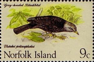 Norfolk Island 1970 Birds SG 109 Fine Mint