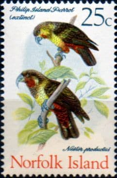 Norfolk Island 1970 Birds SG 113 Fine Mint