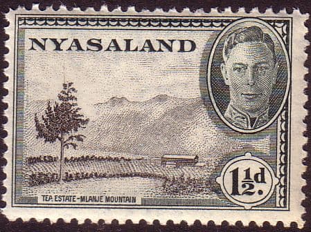 Nyasaland 1945 SG 146 Tea Estate Mlanje Mountain Fine Mint