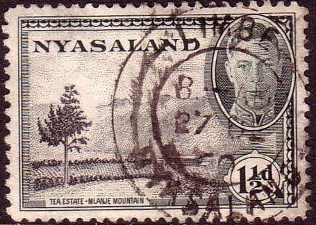Nyasaland 1945 SG 146 Tea Estate Mlanje Mountain Fine Used
