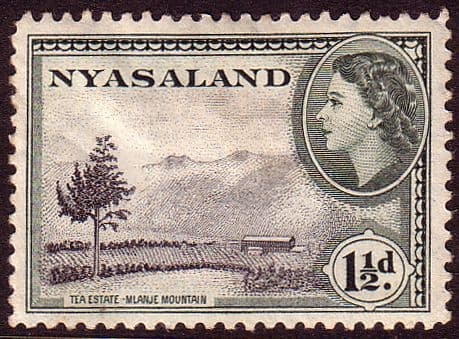 Nyasaland 1953 SG 175 Tea Estate Fine Mint